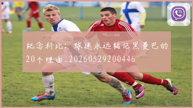纪念科比：球迷永远铭记黑曼巴的20个理由_20260529200446