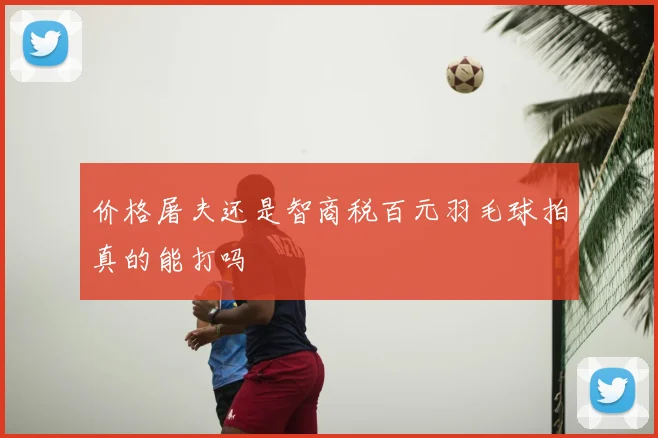价格屠夫还是智商税百元羽毛球拍真的能打吗