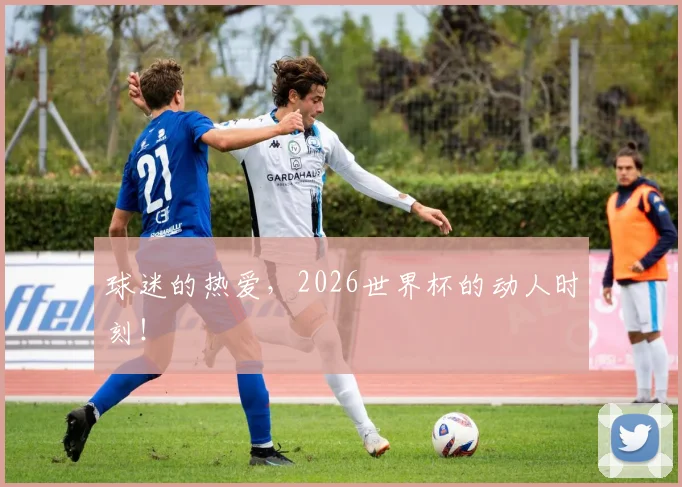 球迷的热爱,2026世界杯的动人时刻!